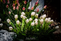 Wigilia Paschalna - 04.04.2026 r.