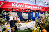  Dożynki Parafialne i Festyn Rodzinny - 29.08.2026 