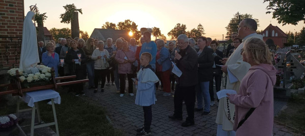 powiększ zdjęcie 